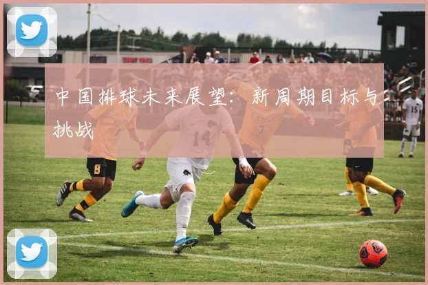 中国排球未来展望：新周期目标与挑战