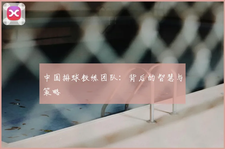 中国排球教练团队:背后的智慧与策略